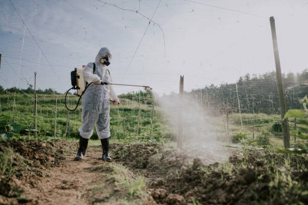 Best Mosquito Control Services  in Goodlettsville, TN