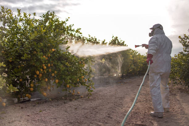 Pest Control Cost in Goodlettsville, TN