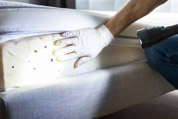 Trusted Goodlettsville, TN Pest Control Experts