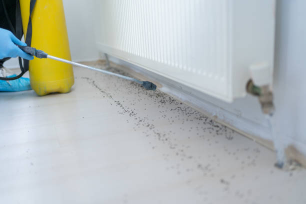 Best Flea Control Services  in Goodlettsville, TN